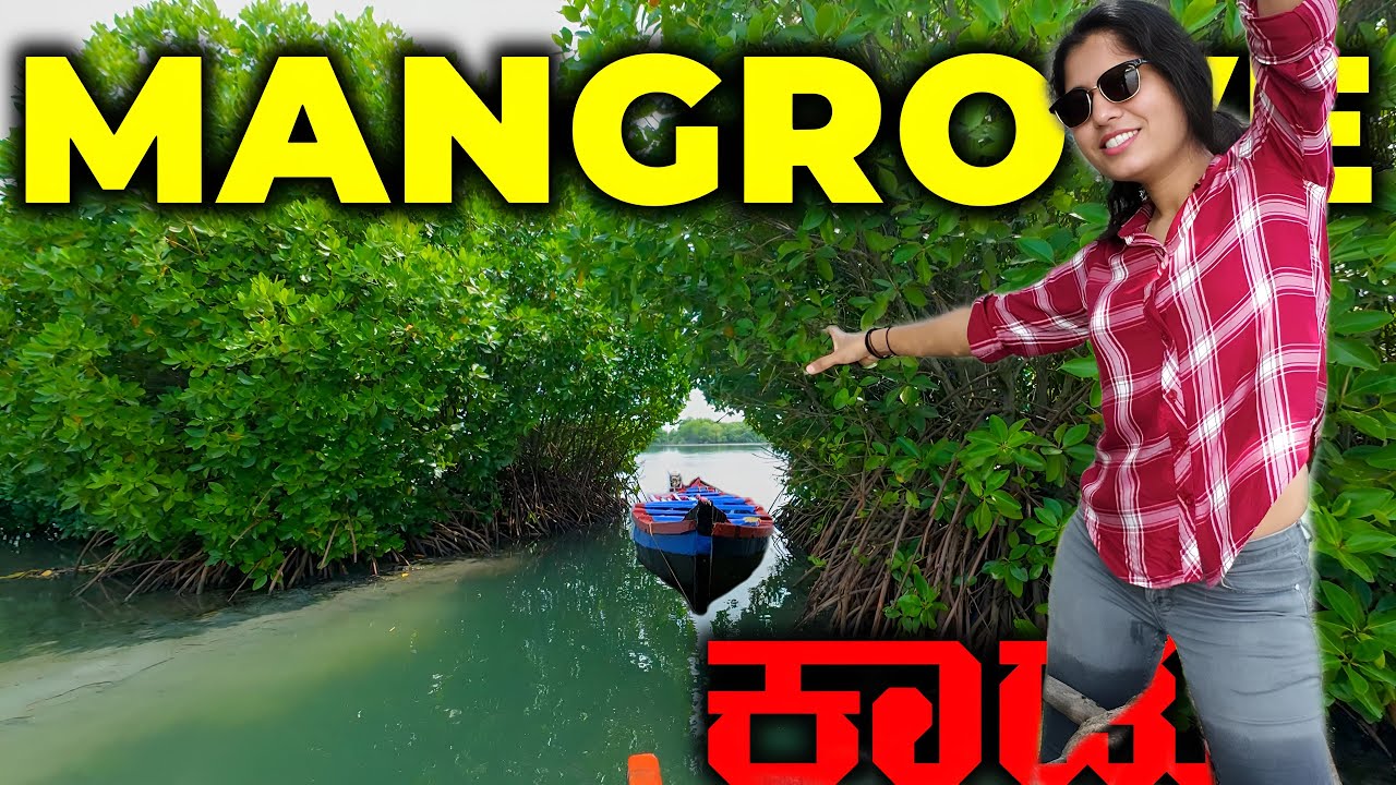 Bengaluru Girl in Kerala | Ashtamudi Lake ನಲ್ಲಿ ಮೊದಲ ಬಾರಿಗೆ Canoe Ride ಅನುಭವ | Kannada Travel Vlog