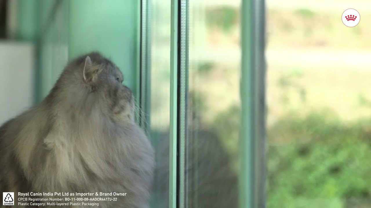 Royal Canin - Tailored Nutrition for Persian