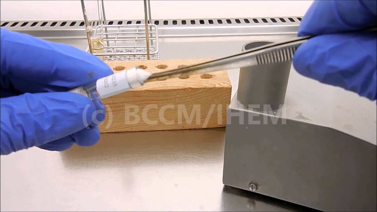 BCCM/IHEM freeze-dried ampoules: instructions for use