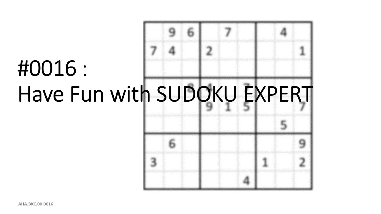 #00.0016: Have Fun with SUDOKU EXPERT