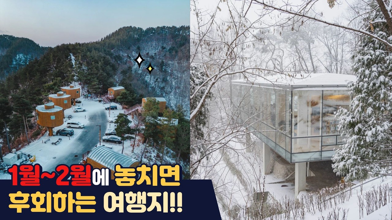 1월, 2월에 놓치면 후회하는 여행지(2026)