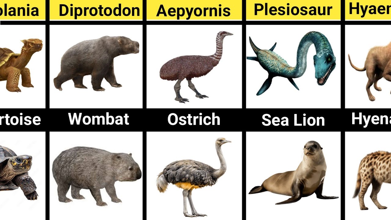 Modern Animals That Shrunk From Ancient Monsters