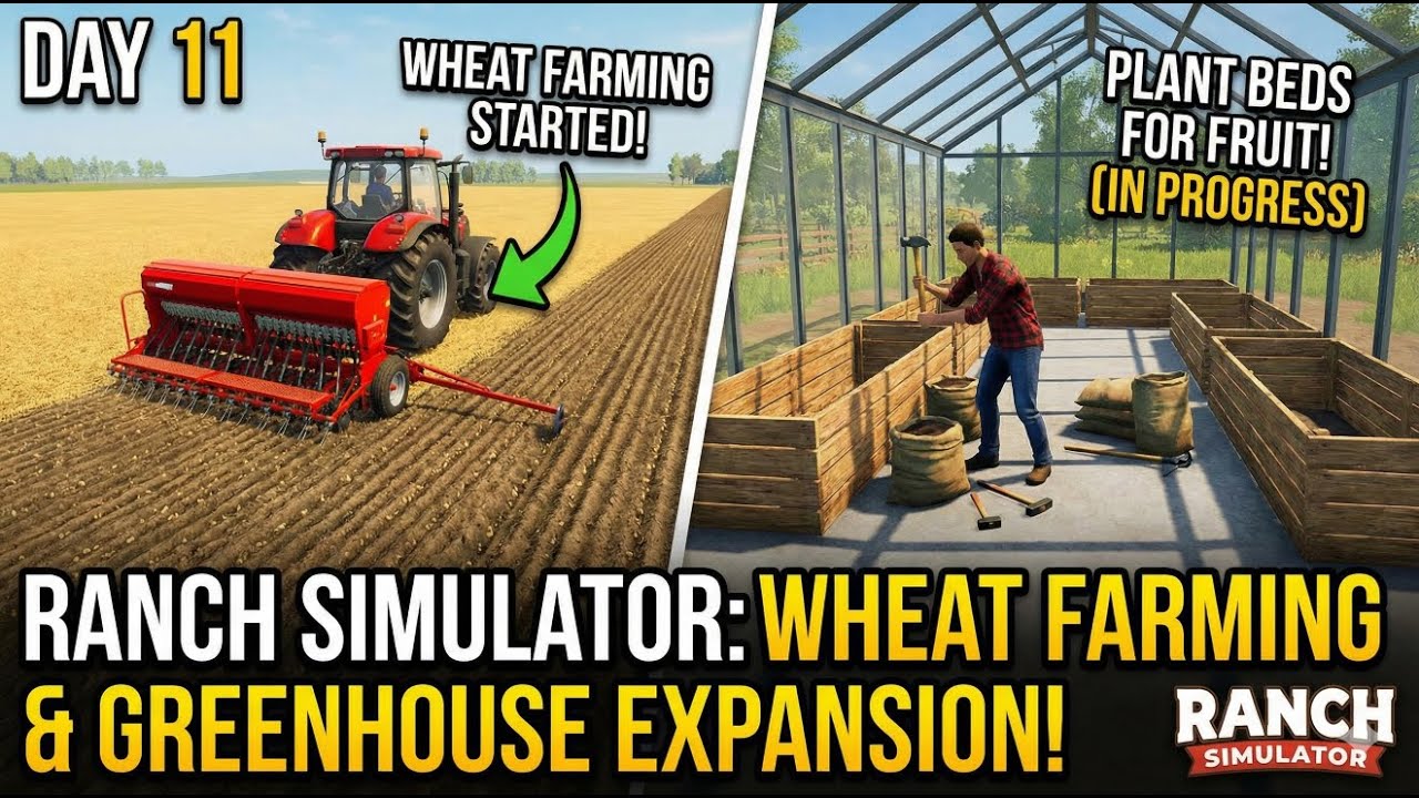 Finally Using the TRACTOR! 🚜 Planting Our First Wheat Harvest