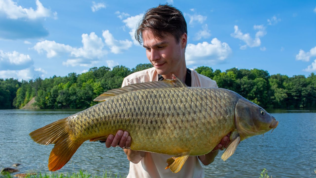 U.S. River Carp Fishing - A Wild Water Adventure