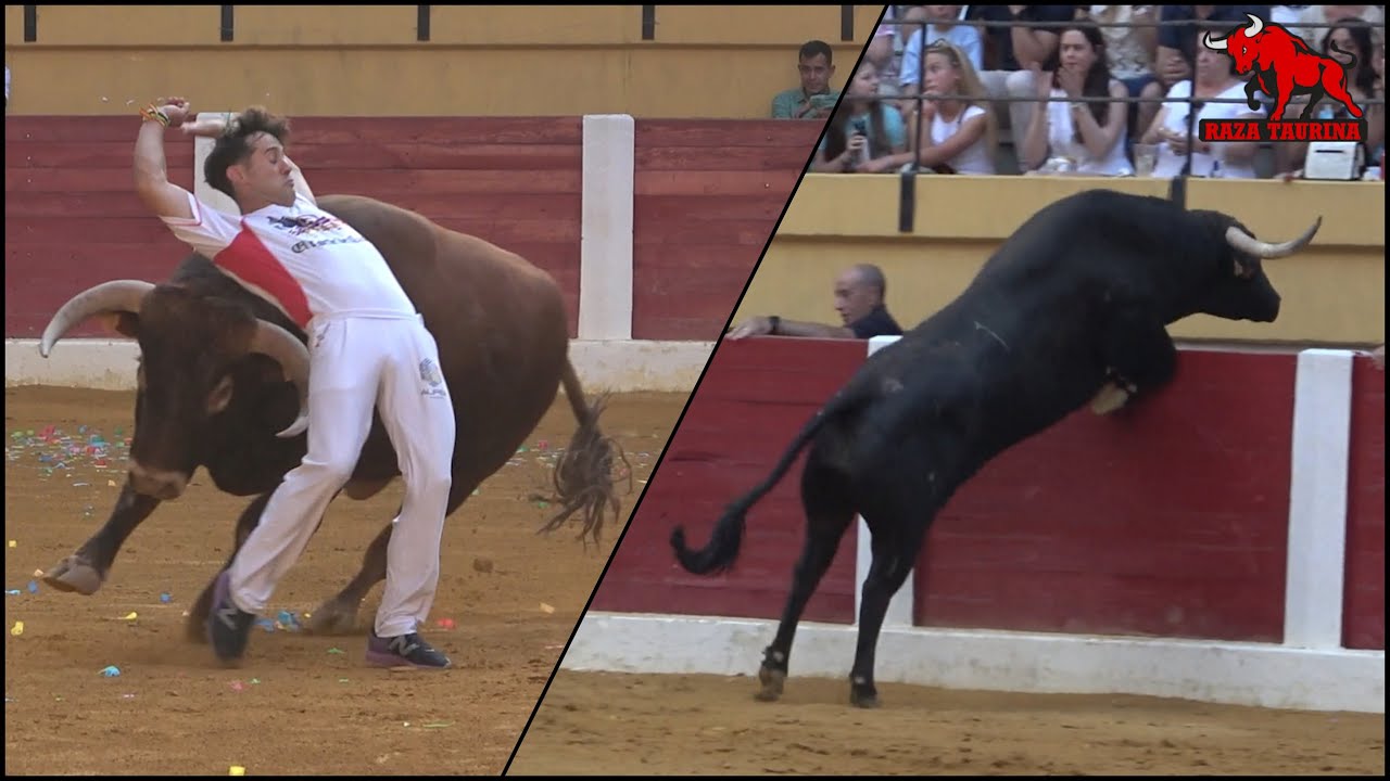 Final Liga del Corte Puro. Íscar. 2 Agosto 2025