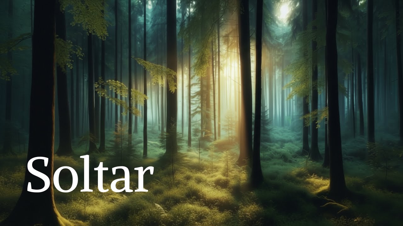 Ritual sonoro para calmar la mente  |  Meditación sonora
