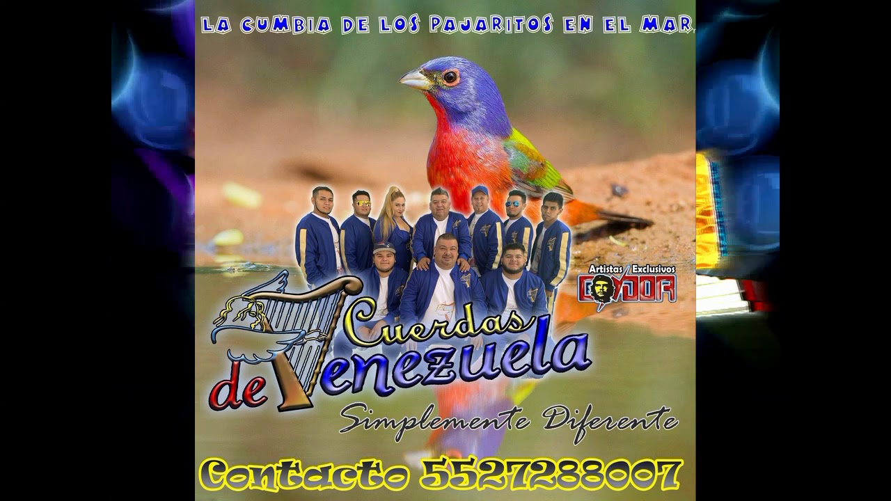 Pajaritos En El Mar | Cuerdas de Venezuela