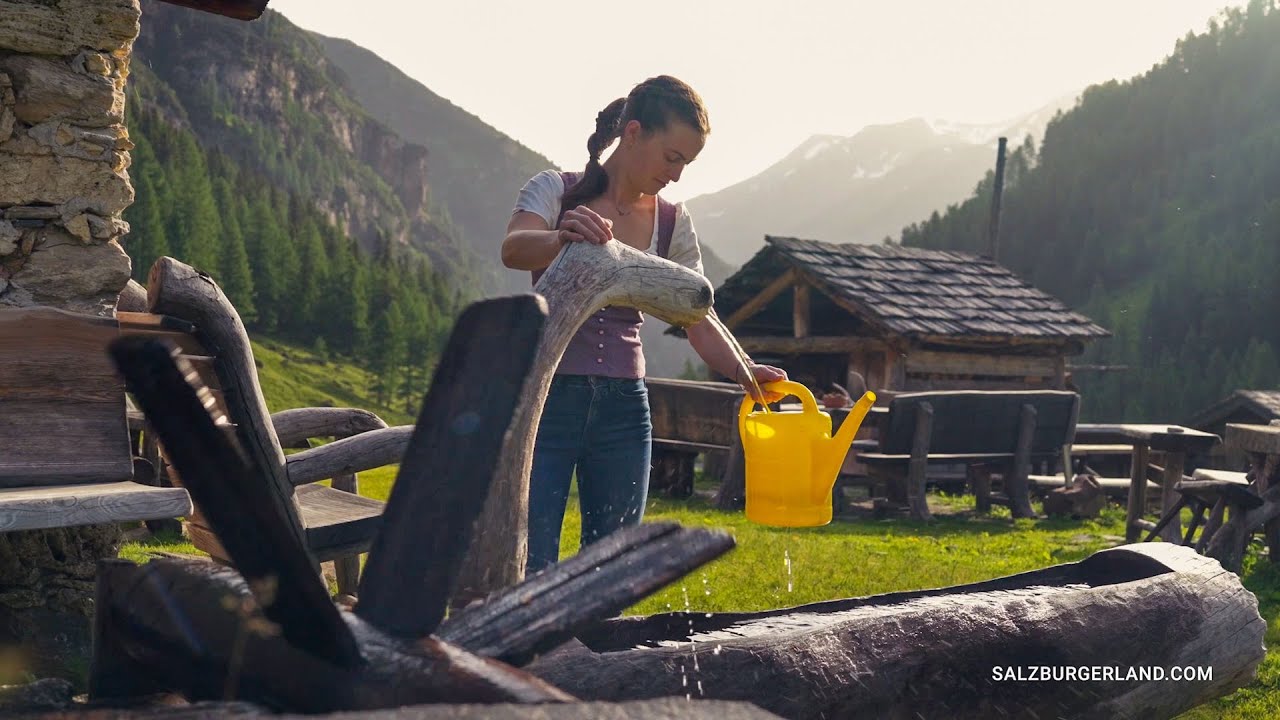 Litzlhofalm - Entdecke den Almsommer im SalzburgerLand.
