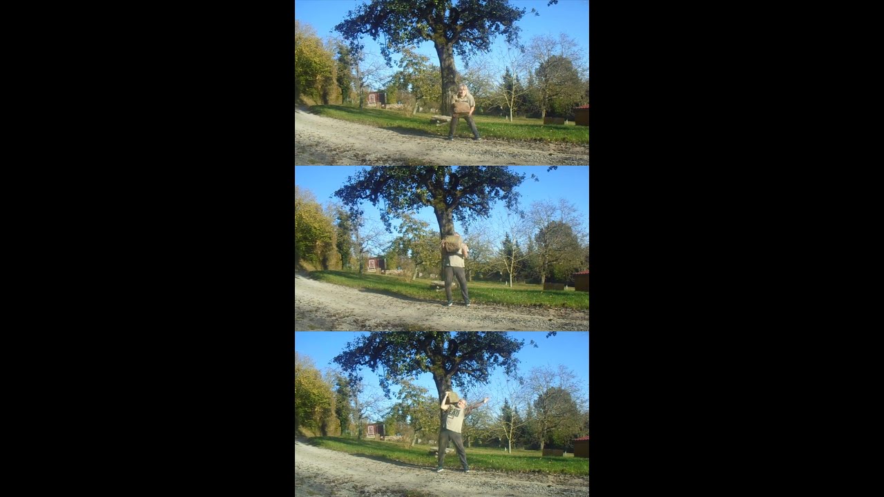 SUNDAY AFTERNOON WALK/43 kg schweren Stein schultern: 1x1 👍🏻💪🏻😊❤️🤝🐶🐶🏋🏻🪨🌾🌳🌲🏚🏞🌞