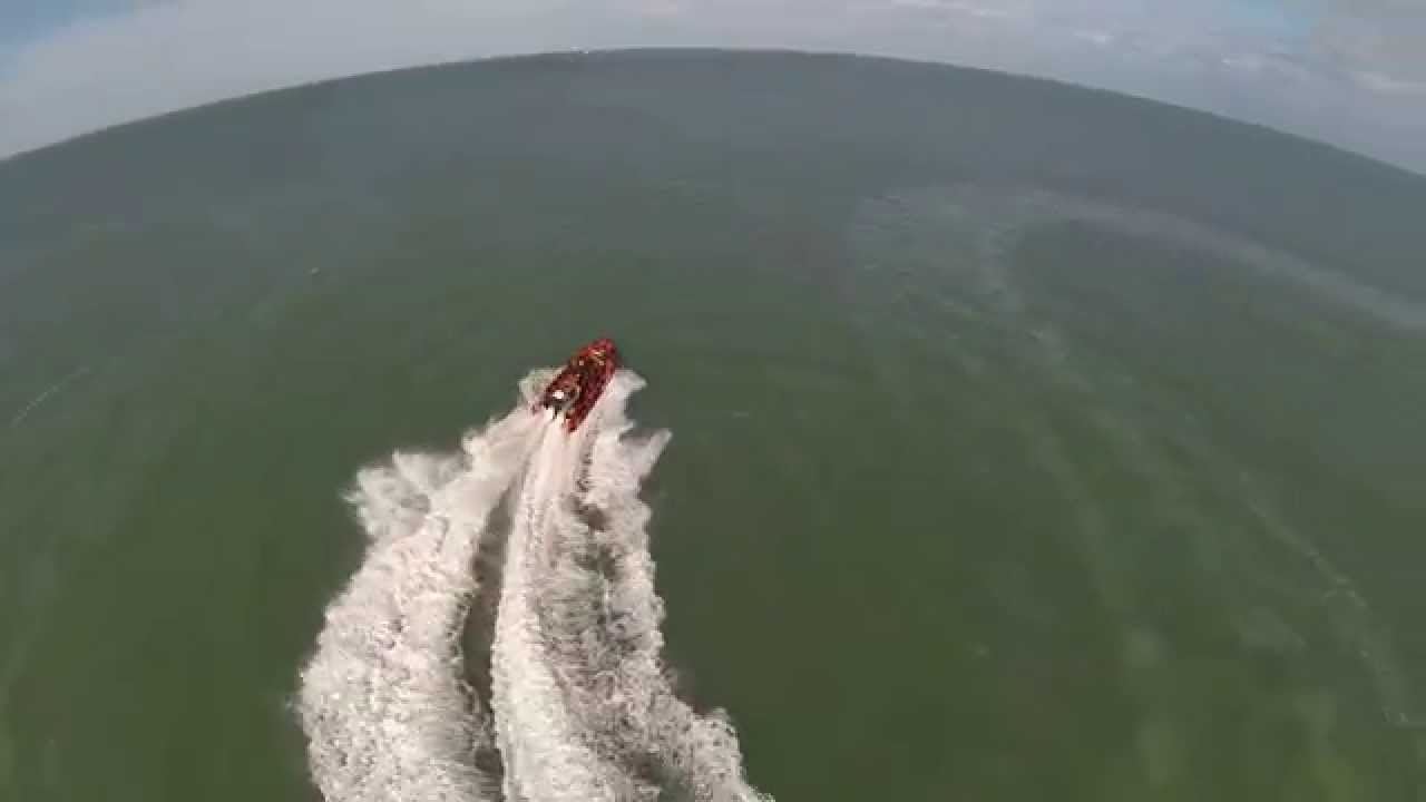 Dover Sea Safari