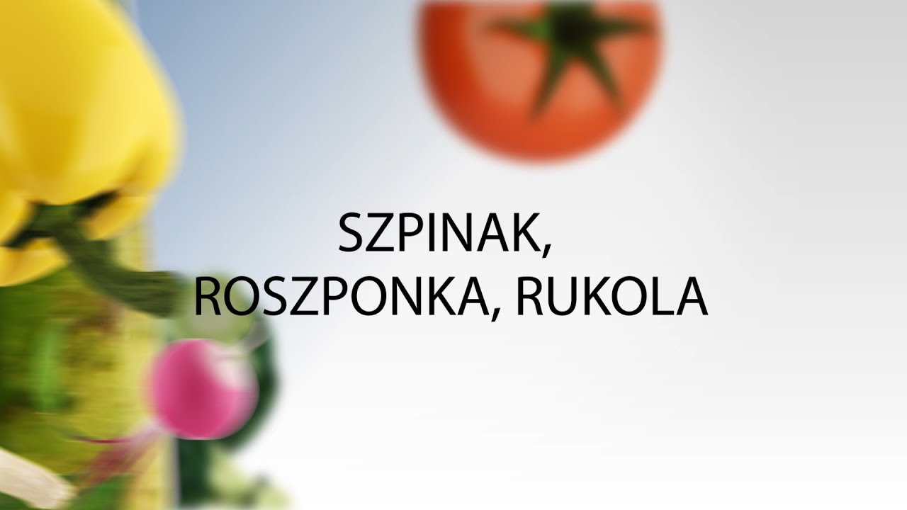 Szpinak, roszponka, rukola - wysiew i uprawa w ogrodzie - uprawa warzyw