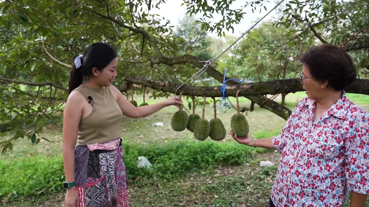สวนผลไม้ แม่สุภาพ