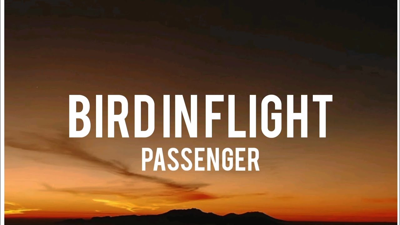 Passenger -  Bird In Flight (Lyrics)