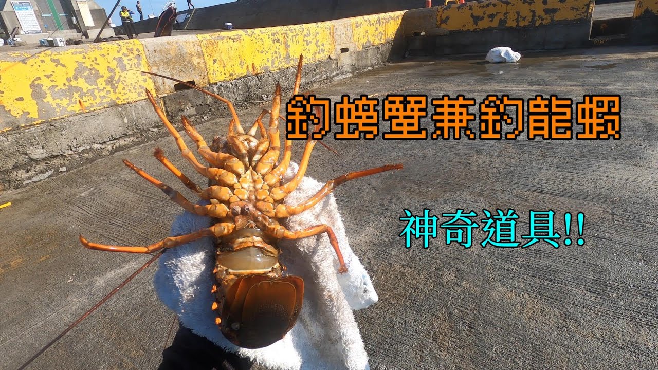 神奇的玩具,大白天中龍蝦! 不但可以釣螃蟹還可以釣龍蝦,還不快點來試試看....#南投小江 #釣魚 #Fishing #Mancing #釣り#龍蝦