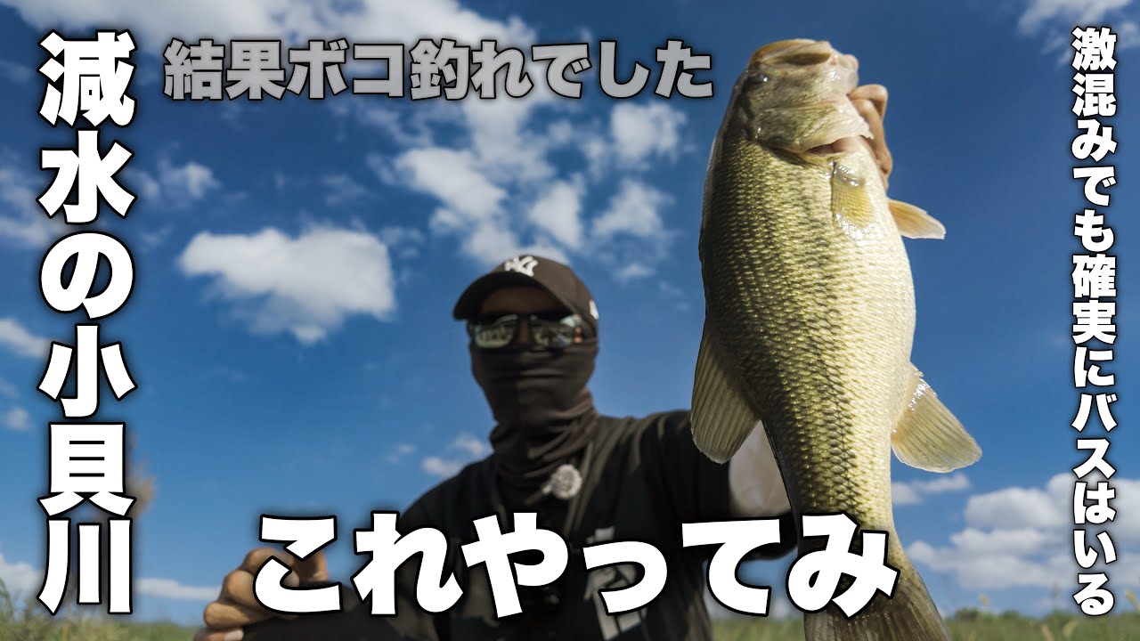 【バス釣り】激混みの小貝川で確実にバスを釣る方法見つけたかも