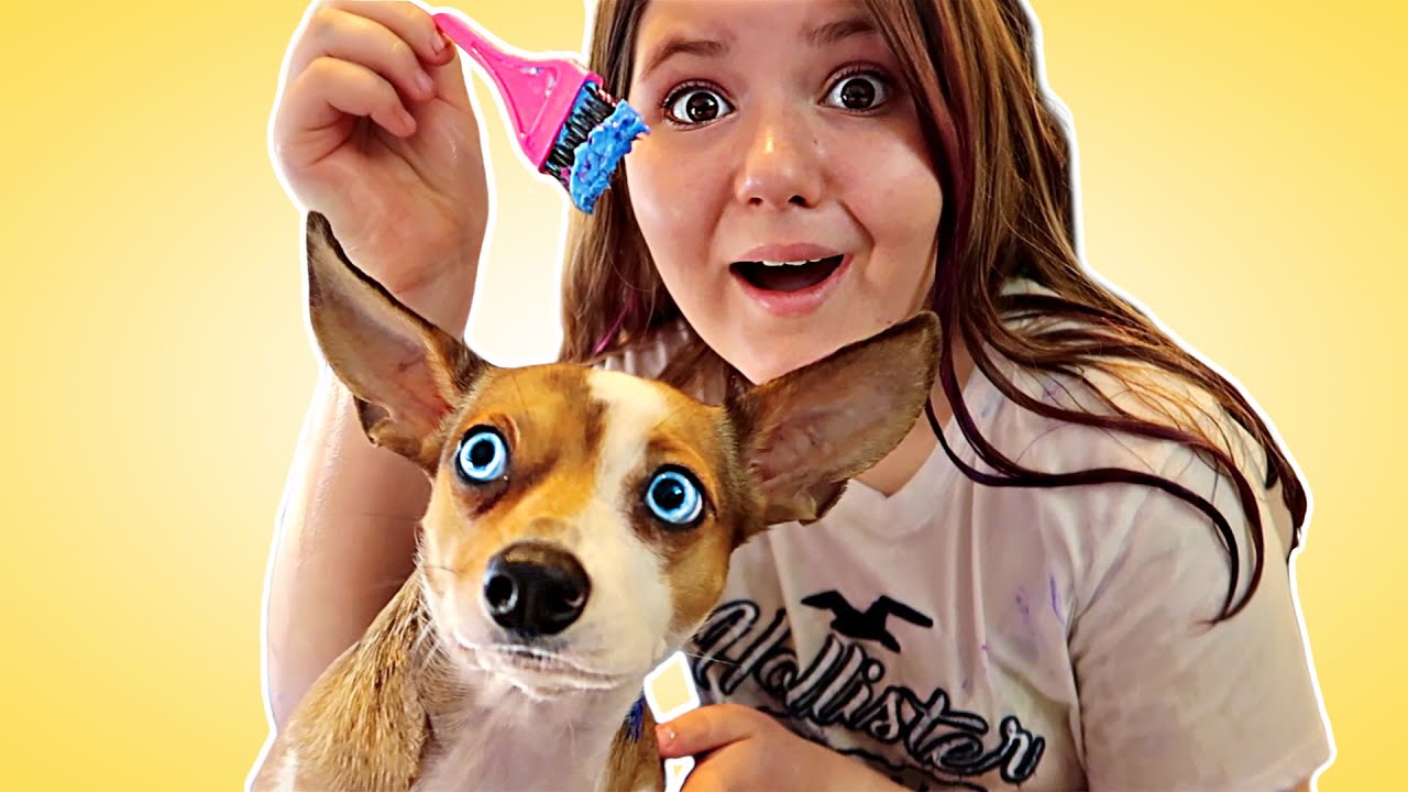 WE DYED HER HAIR BEHIND HIS BACK! ***DYING A DOG*** #19