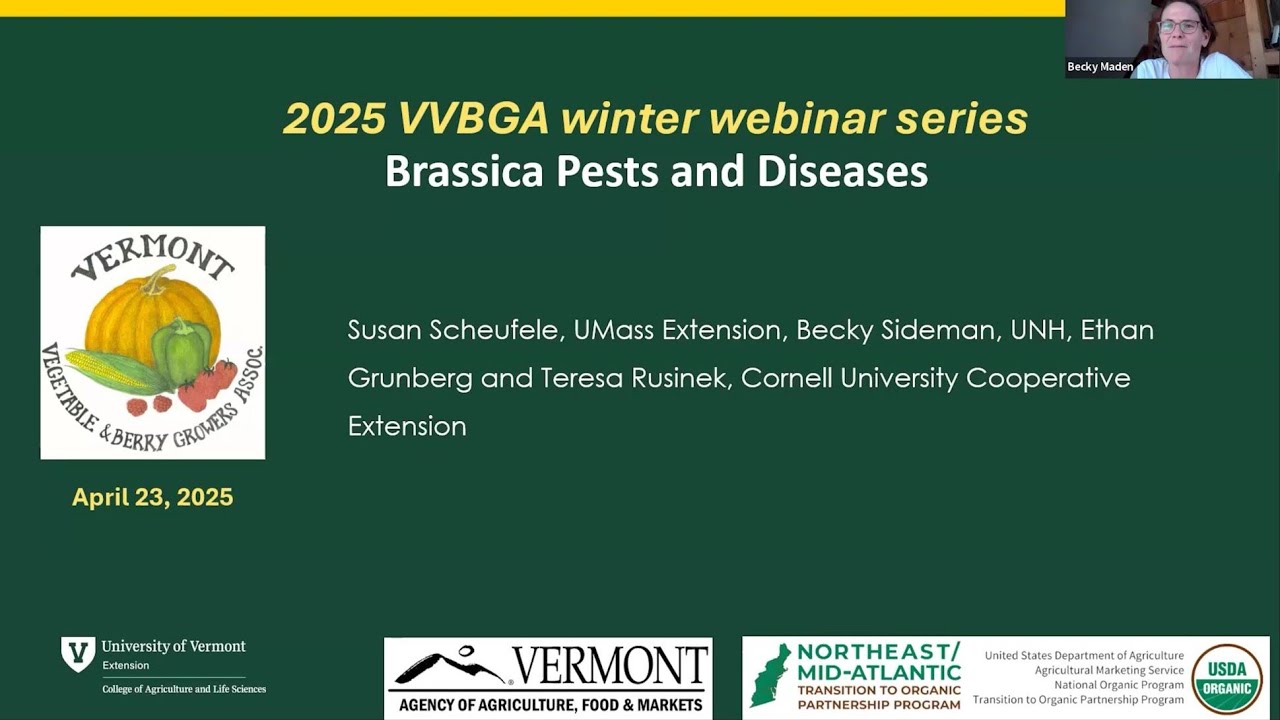 Brassica Pests and Diseases | Winter 2025 Webinar