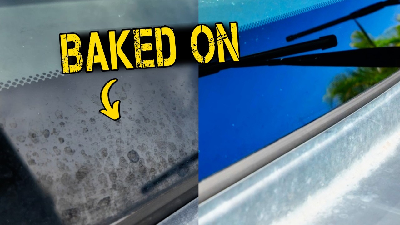 TOP Water Spot Removers Put To The Test! (Best and Worst)