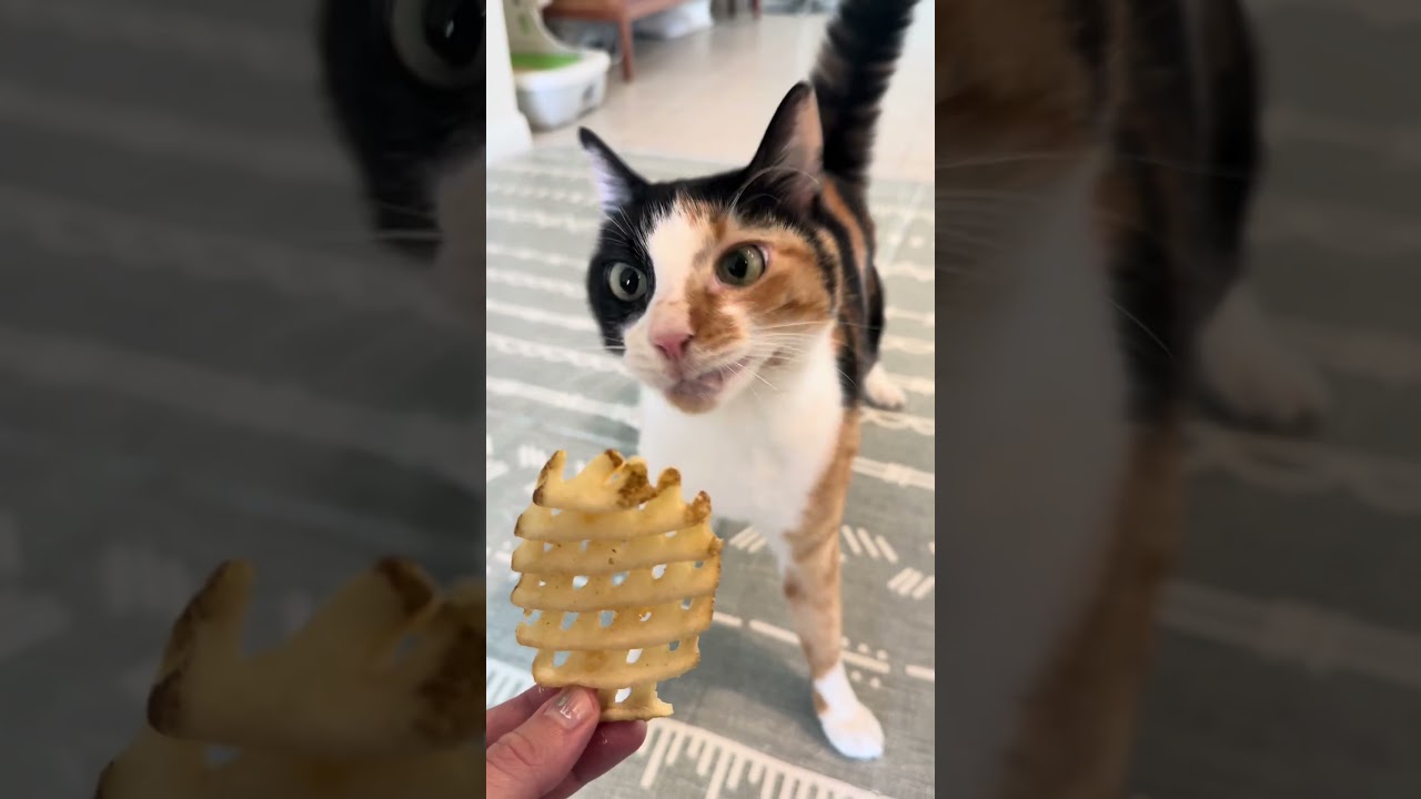 Eating a wobbly fry