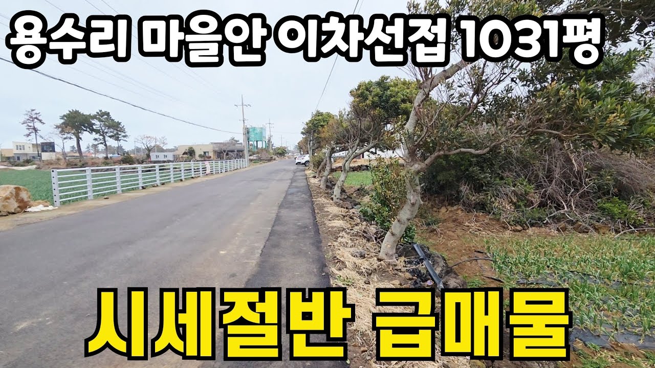 제주시 한경면 용수리 마을안 이차선접 1031평 010 4436 0401 #제주도 부동산 토지 매매 #급매물