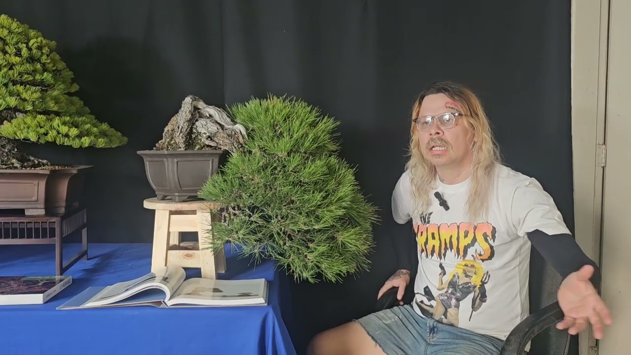 A planta da Kokufu-ten  chegou ao brasil