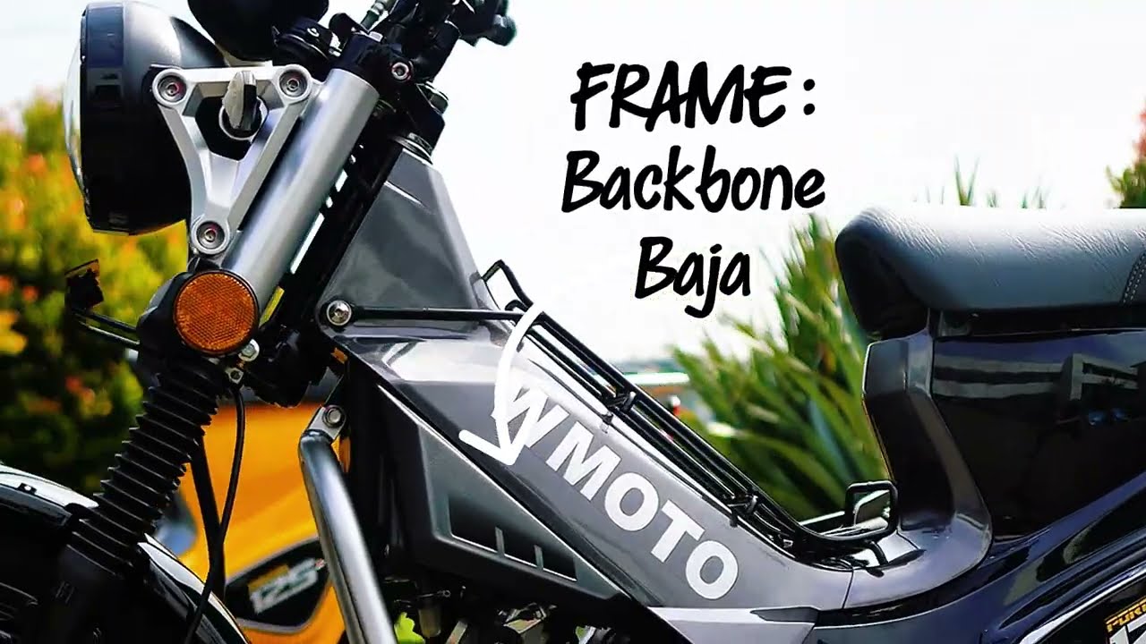 WMOTO PORTER 125