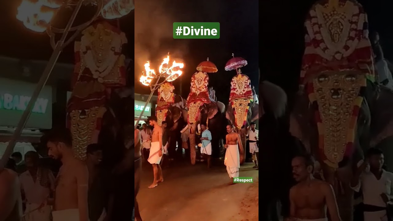#kerala #shorts #elephant  #procession #subscribe #kantara #god