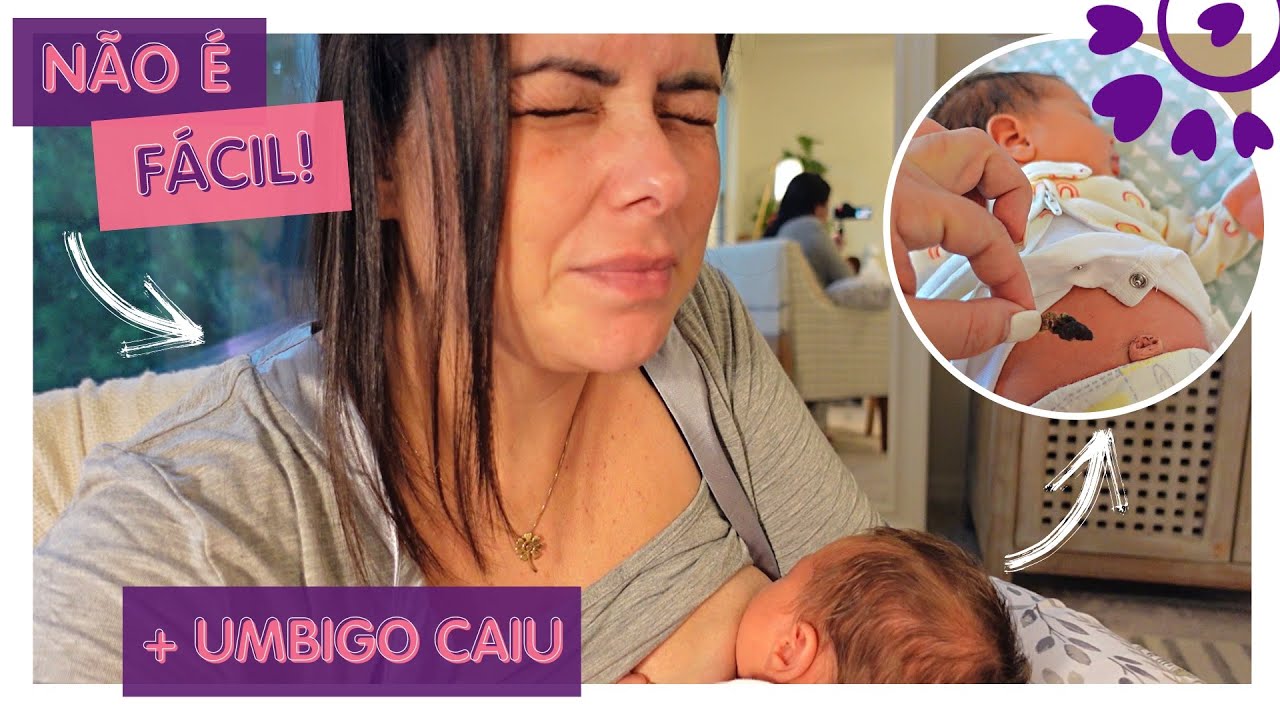 2 SEMANAS DE VIDA DA REBECCA, UMBIGO CAIU, AMAMENTAÇÃO DIFÍCIL - FLÁVIA CALINA
