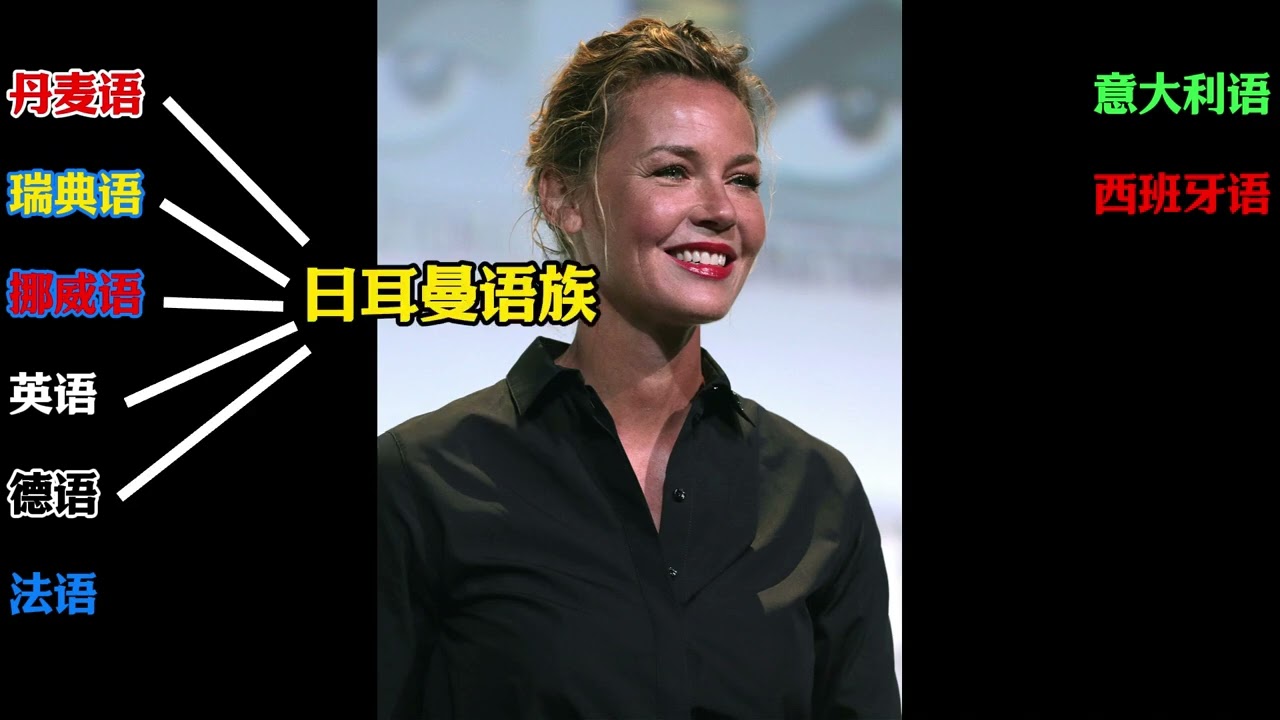 震惊：了不起的中国人才是多语言者，人均4种语言以上。 欧洲各种语言太简单了。