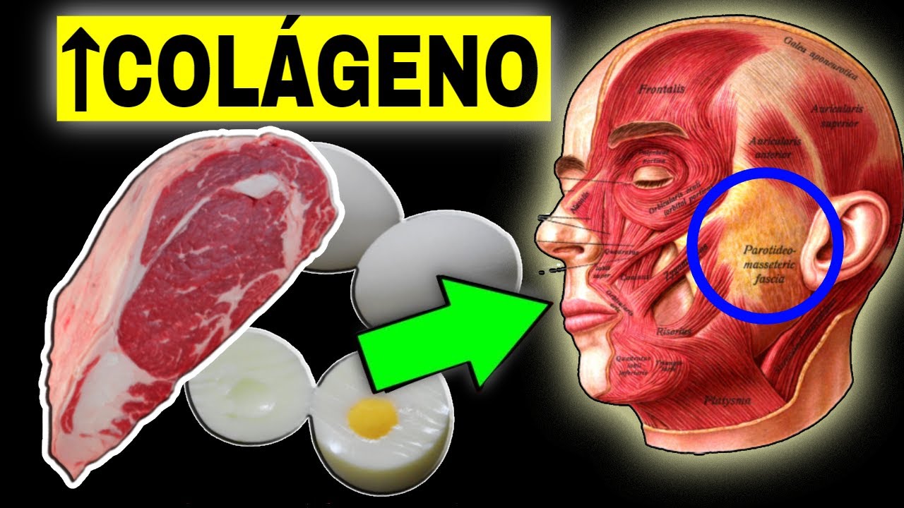 CÓMO AUMENTAR EL COLÁGENO PARA PIEL Y ARTICULACIONES