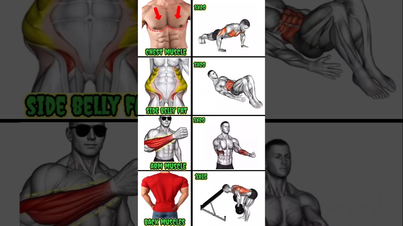 🔥 Full Body Workout at Home 💪 | #Chest #Abs #Arms #Back #Workout #Fitness