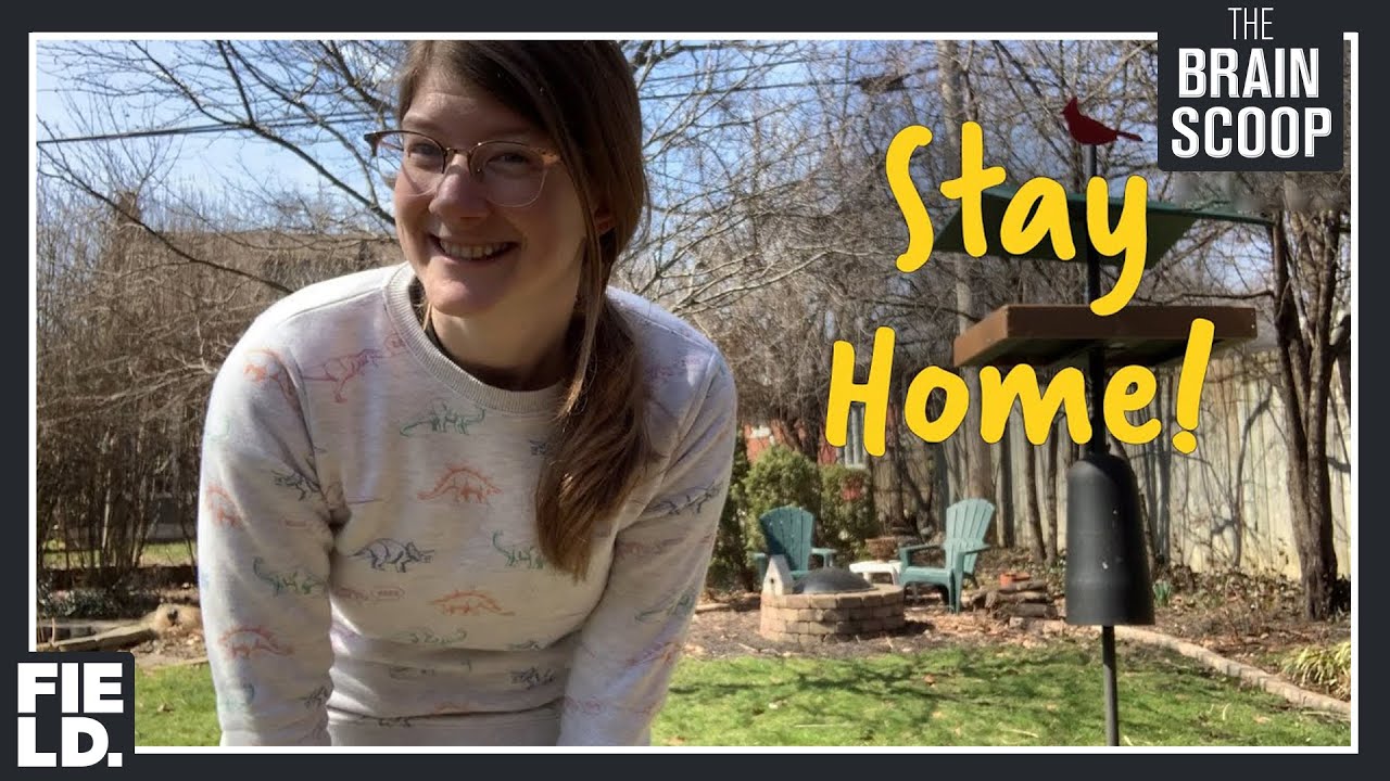 #StayHome #WithMe & stay well!