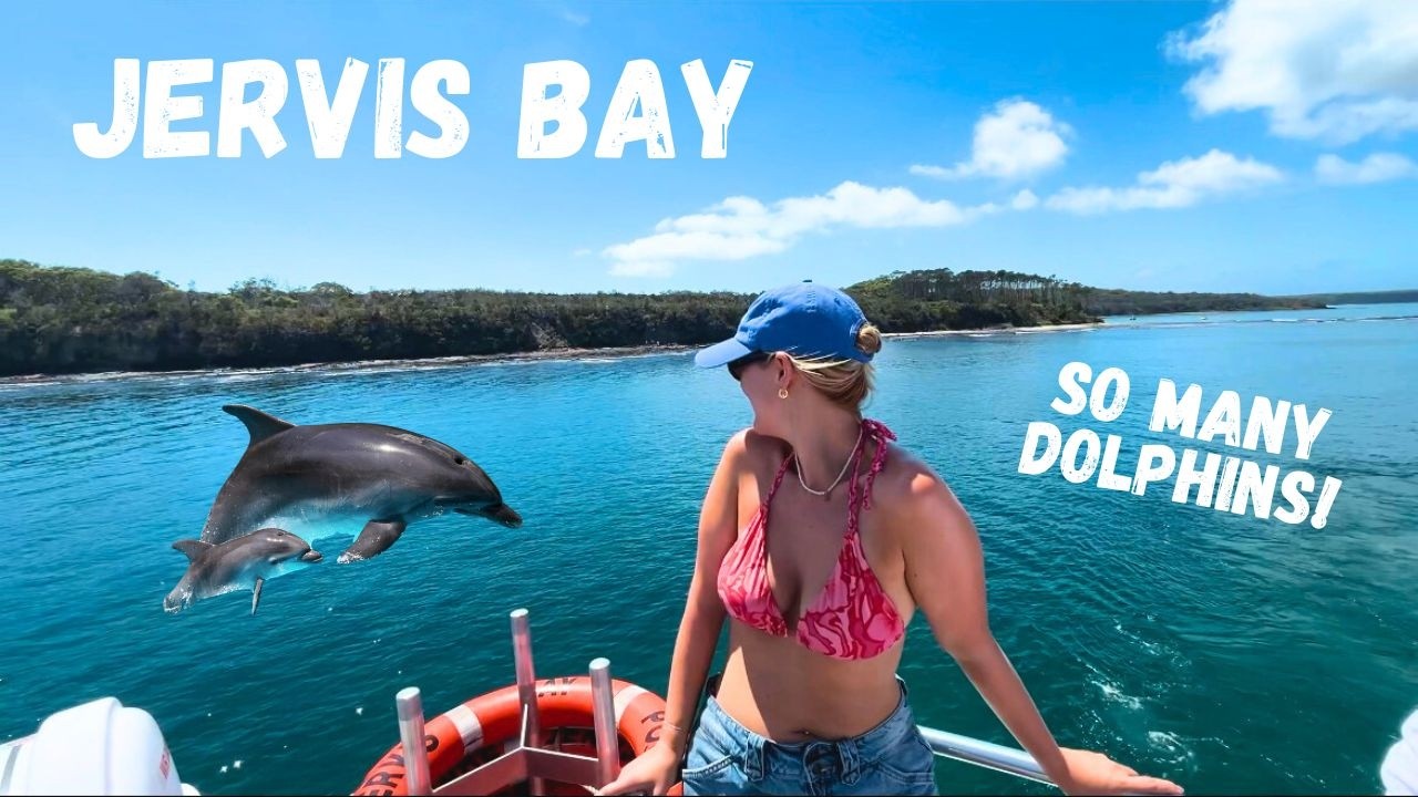Jervis Bay Day Trip Guide | Dolphin Watching Cruise