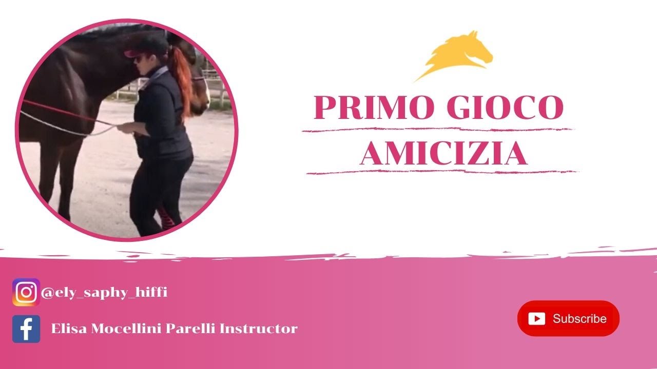 1° GIOCO PARELLI | IL GIOCO DELL'AMICIZIA | ELISA MOCELLINI