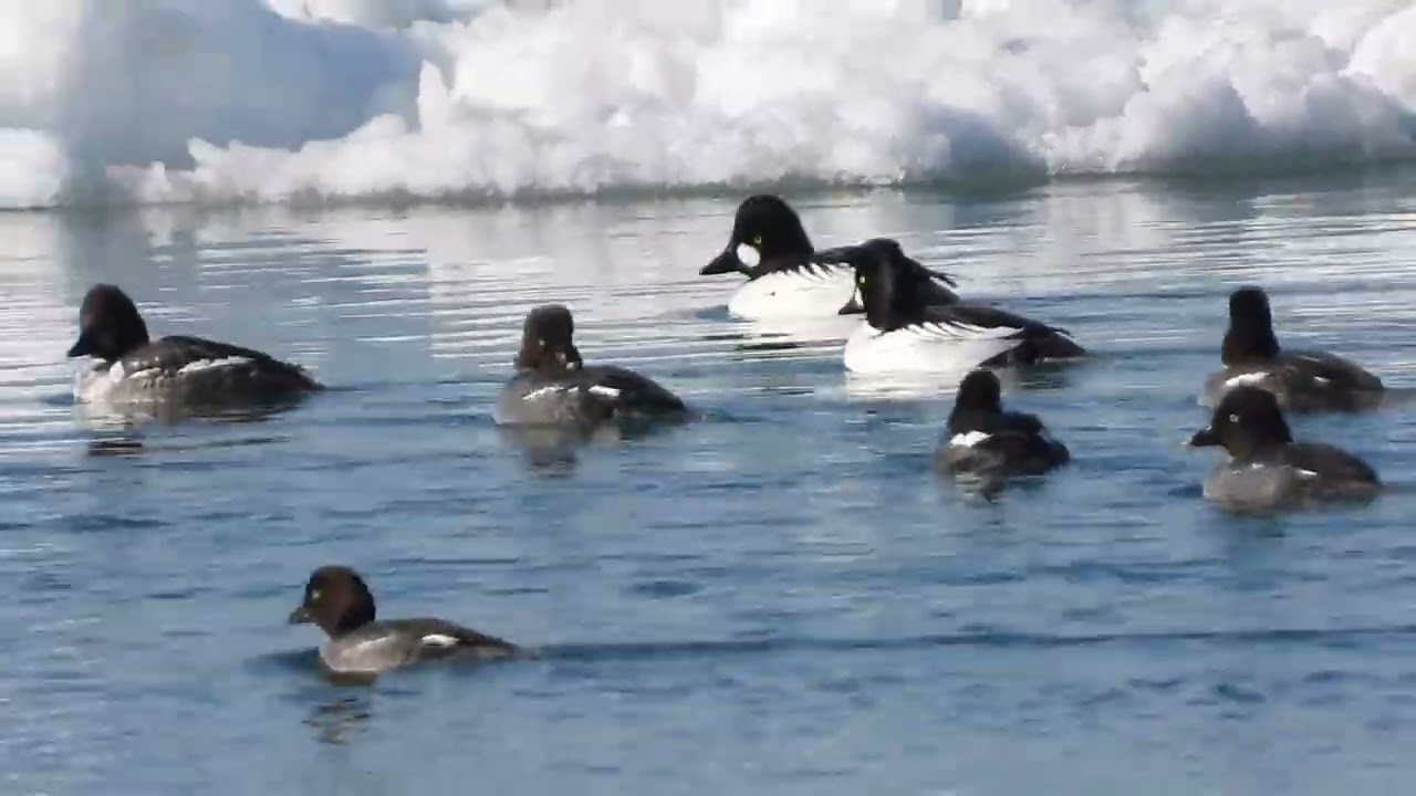 Portage Riverwalk - February 10, 2026