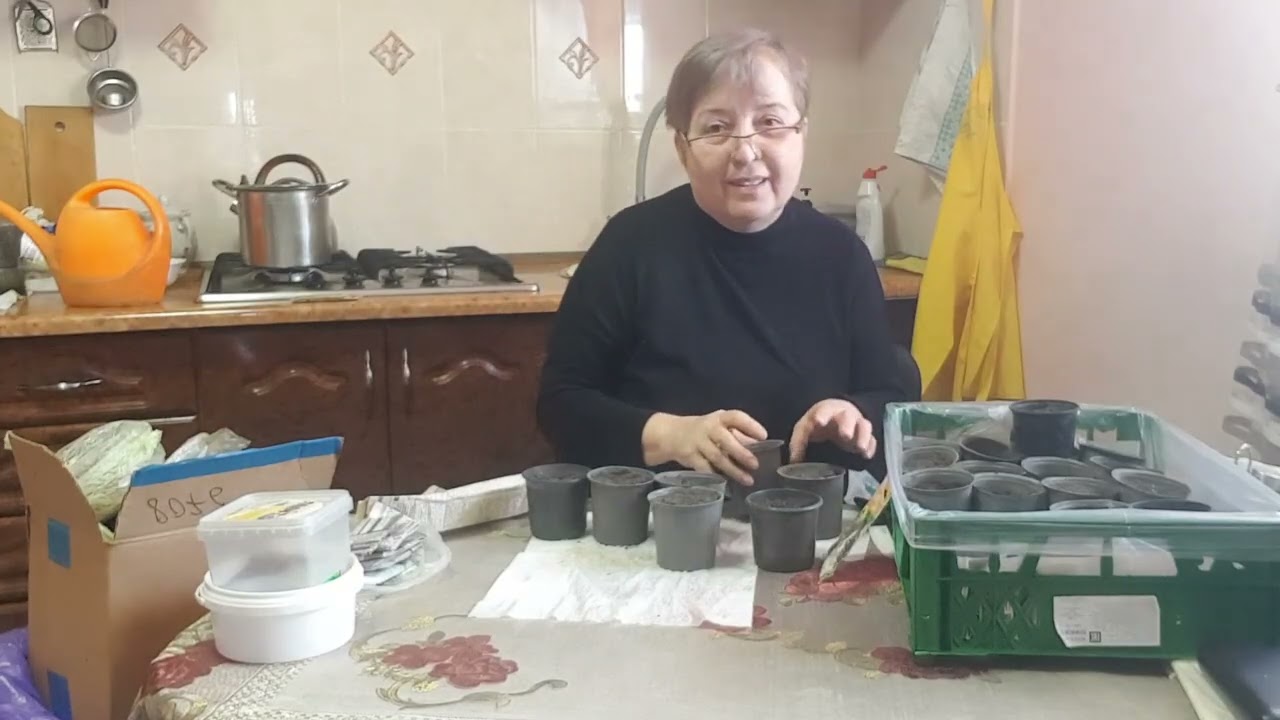 Сезон начался.