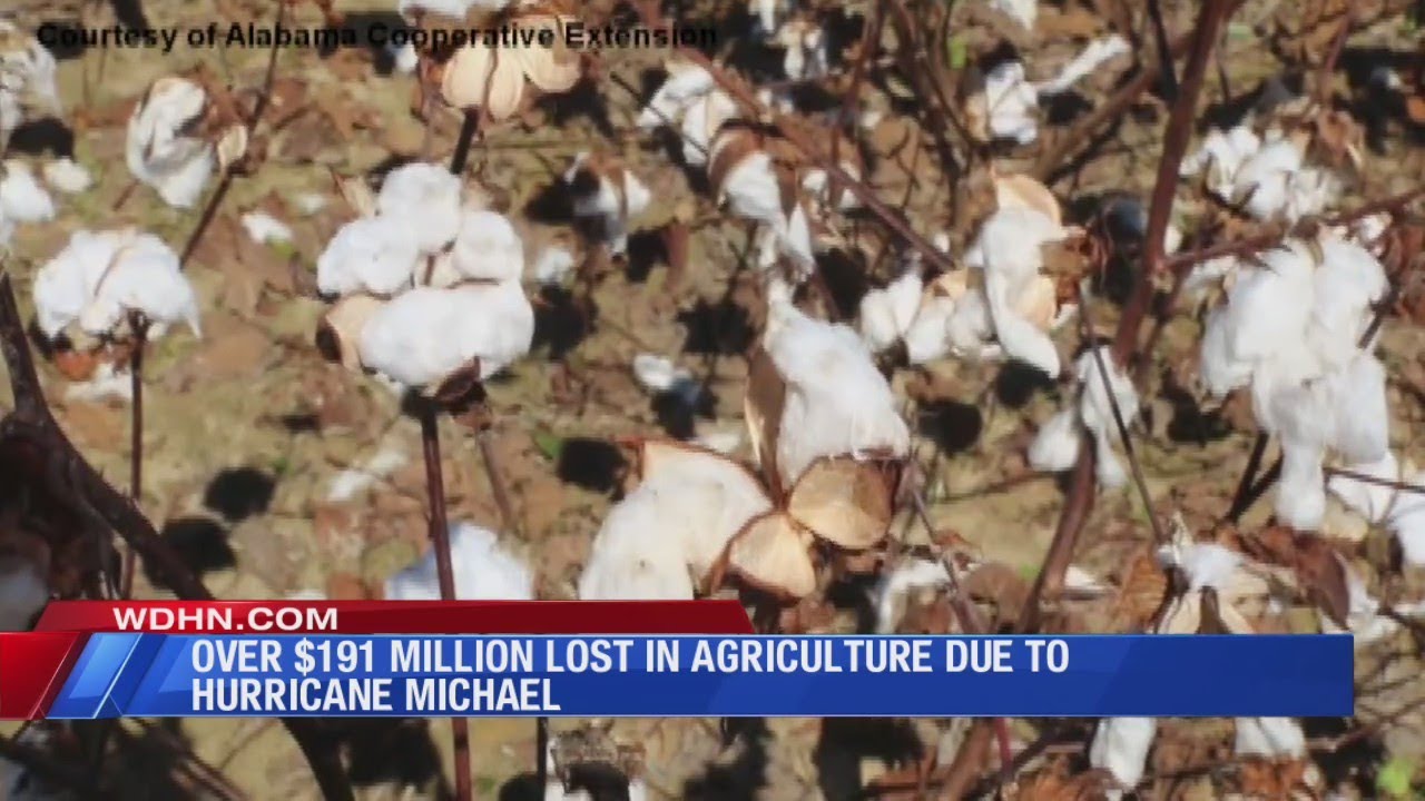 Agriculture Loss