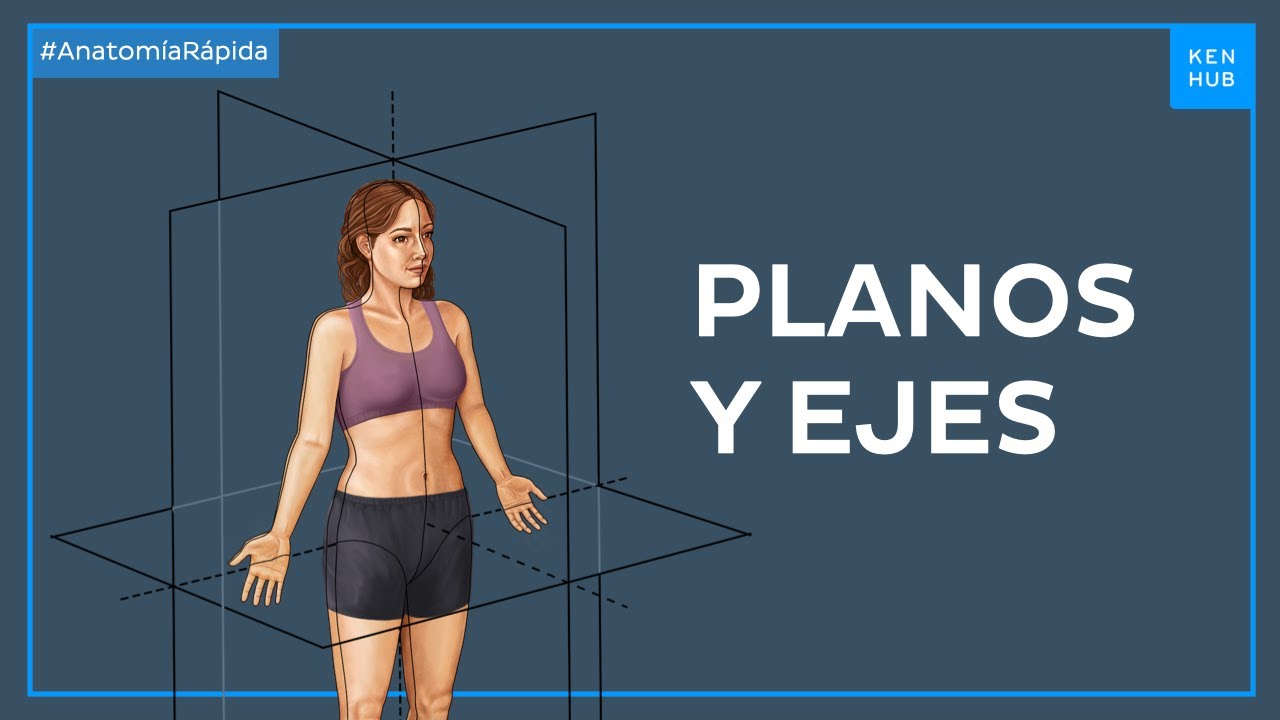 Planos y ejes corporales - Anatomía Fácil | Kenhub