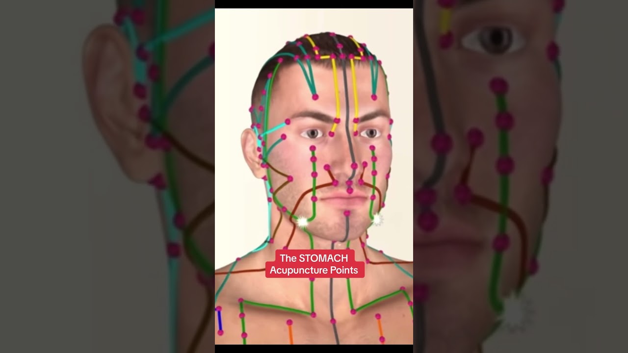 Stomach Meridian Acupuncture points & channel pathway #acupuncturepoints