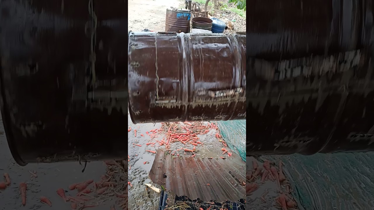 Gajar dhone ka desi jugad