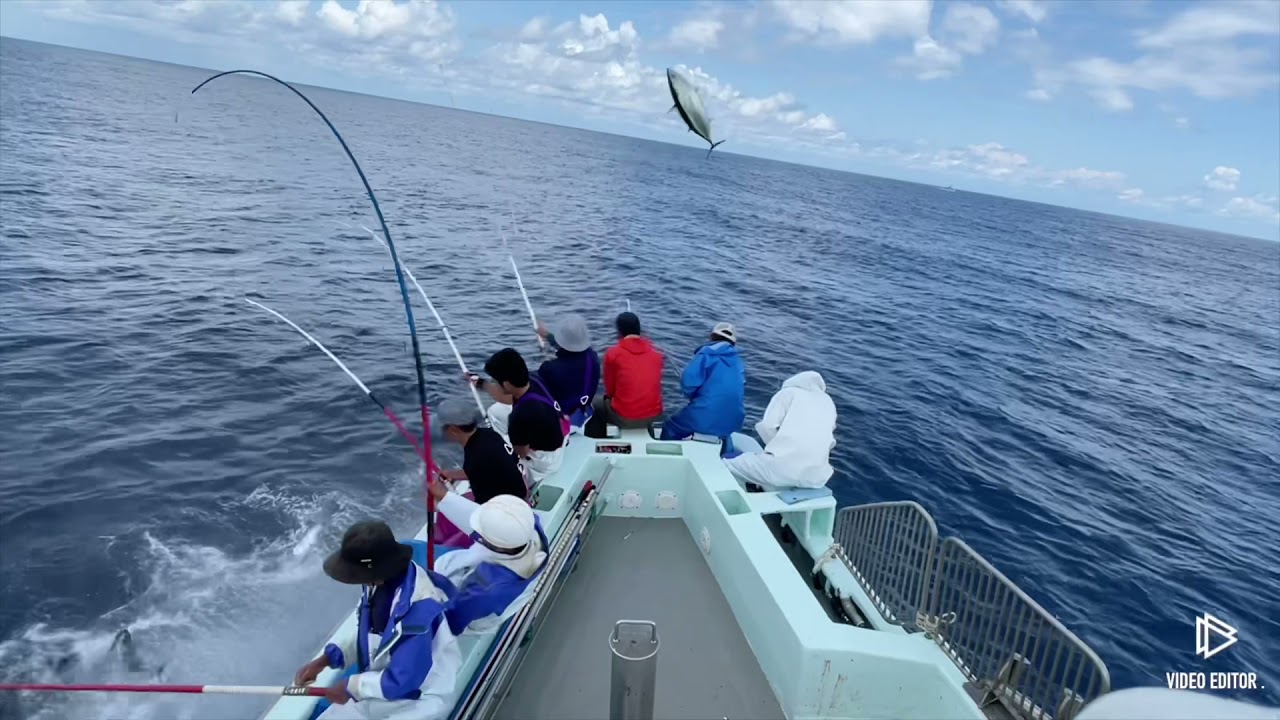 第11幸丸　鰹船　鰹一本釣り　舳先編　プロフェッショナル