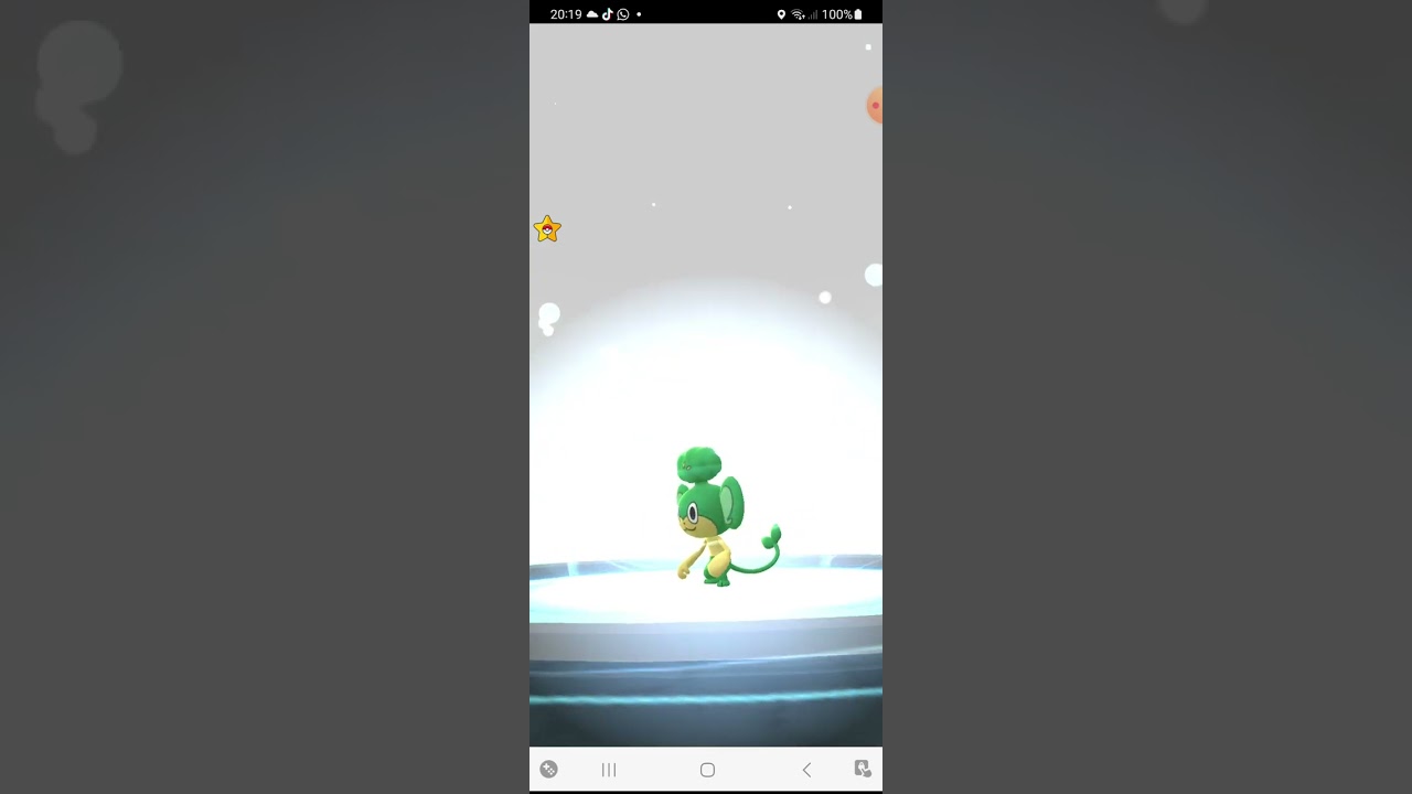 Pokemon Pansage evolves into Simisage