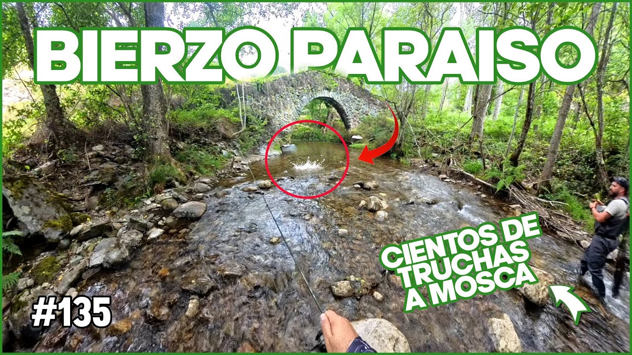 EL BIERZO, Paraíso de la Trucha en Alta Montaña | Día 1 Pescando a Mosca