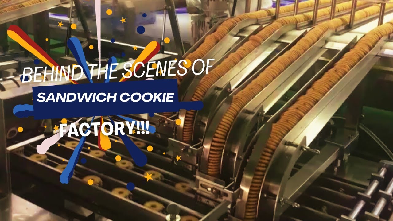 SANDWICH COOKIE Factory | Modern Manufacturing Machines ➤44