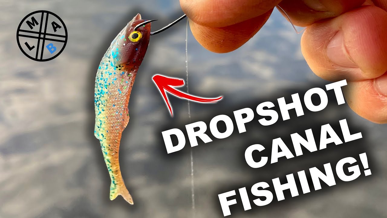 Dropshot Fishing for Canal Perch!
