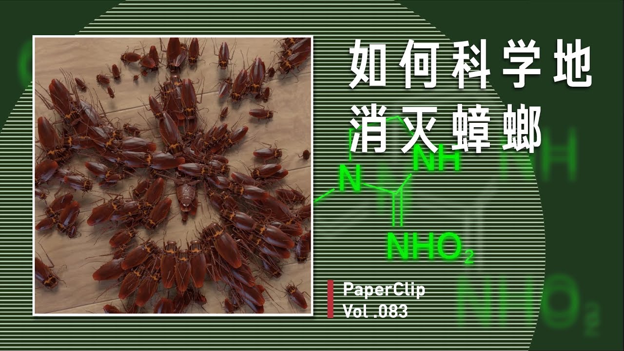 Vol.083 如何科学地消灭蟑螂？