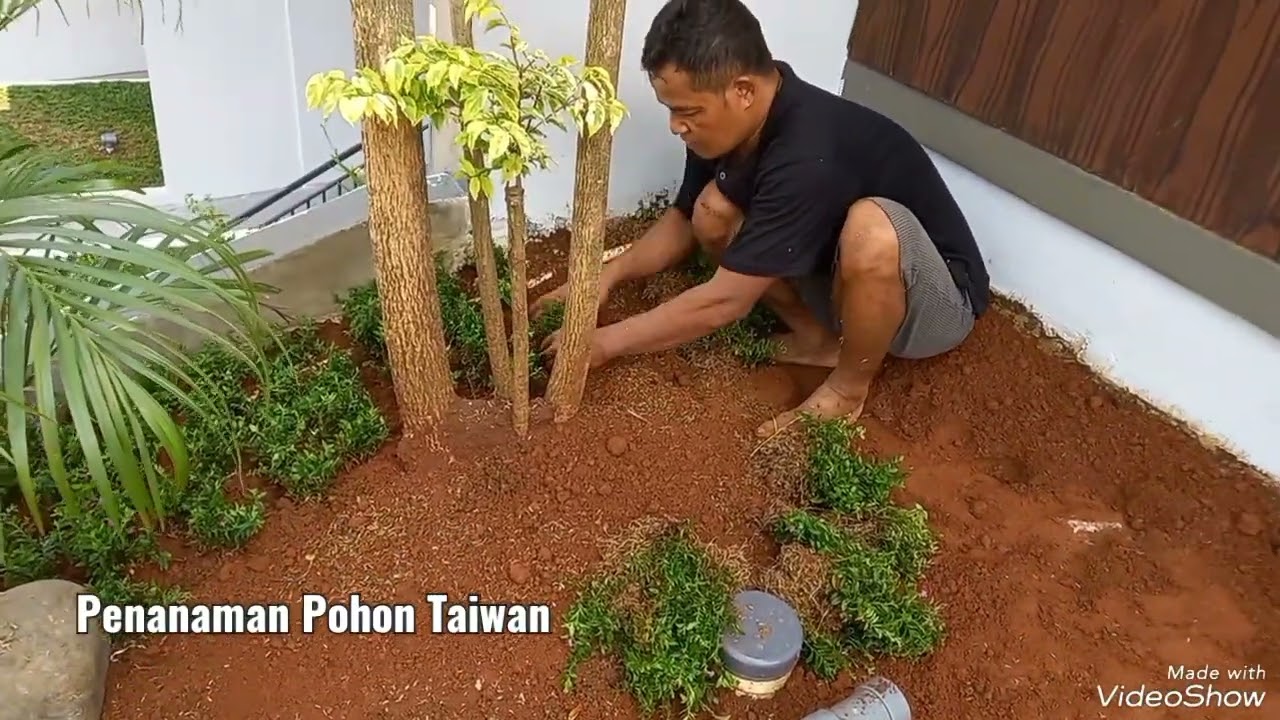 Menata Taman Depan Rumah Minimalis Dengan Lahan Kecil / Pembuatan Taman Minimalis