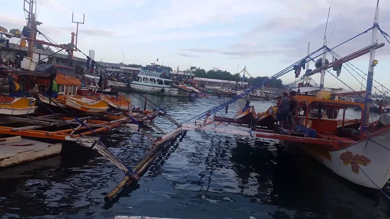 Not Just Tuna! Watch People in Action at Fish Port Complex in General Santos City, The Tuna Capital