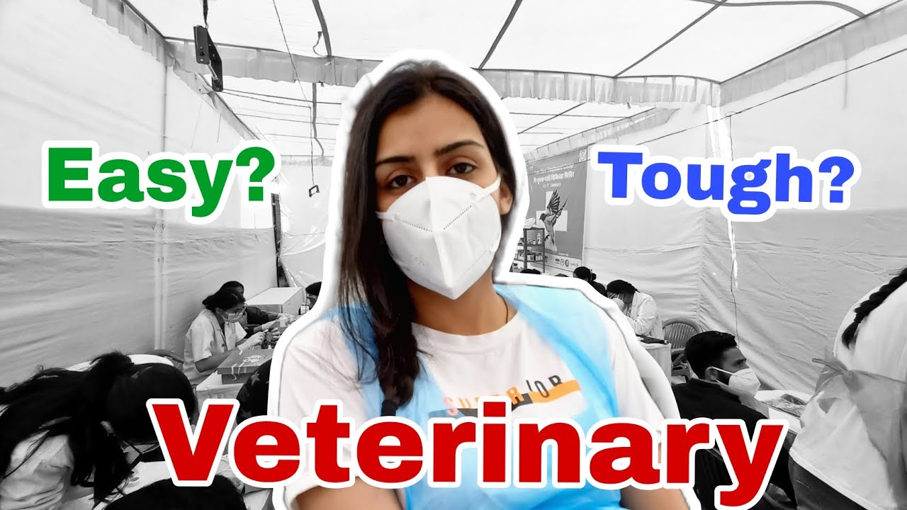Is Veterinary easy????? Here is the Reality