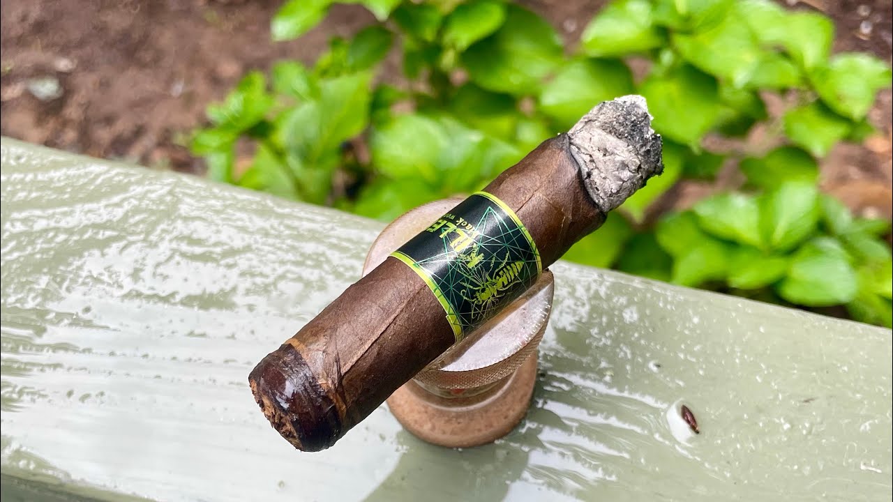 Black Works Studio Killer Bee Cigar Review
